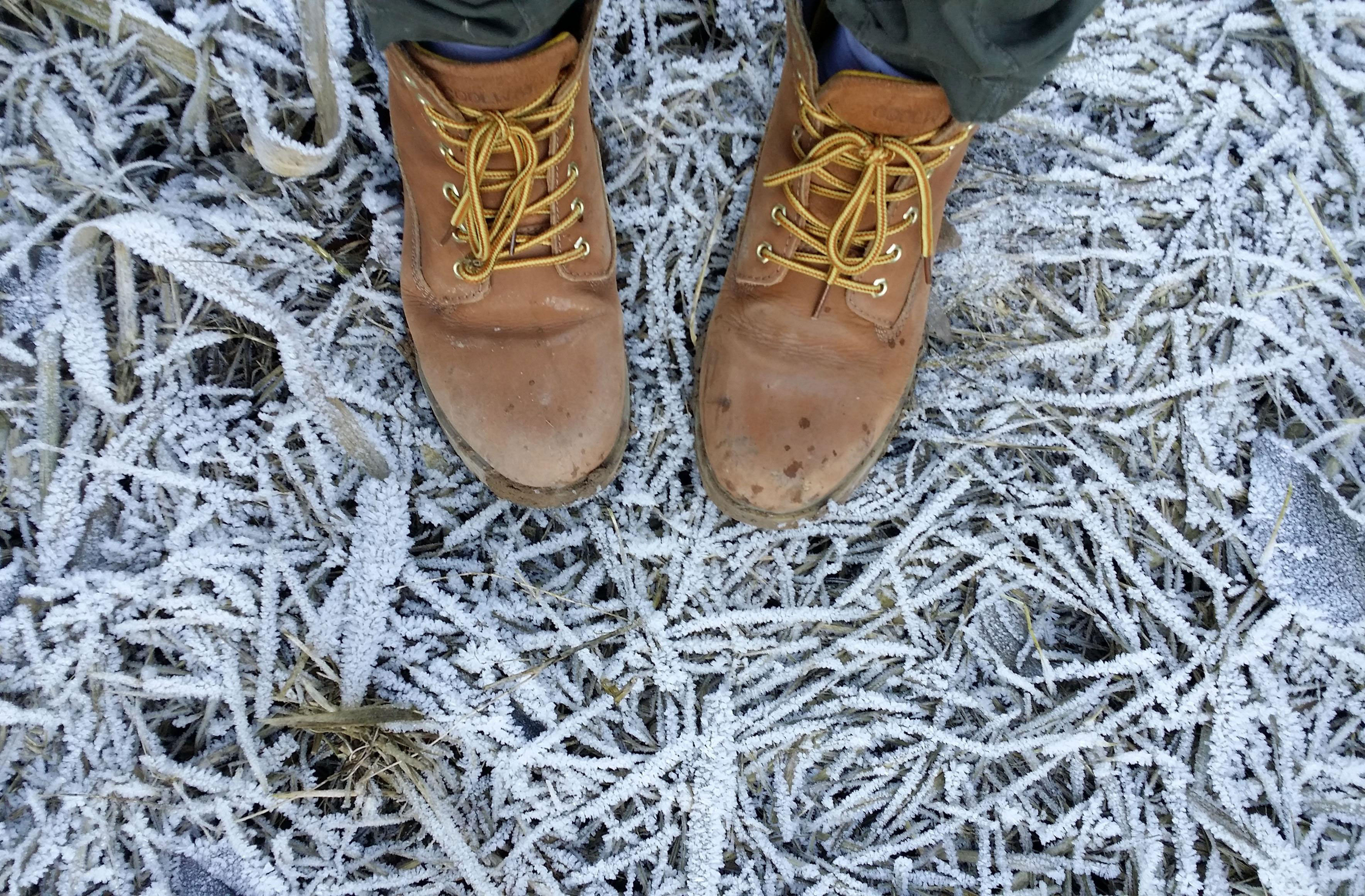 Boots-in-Frost