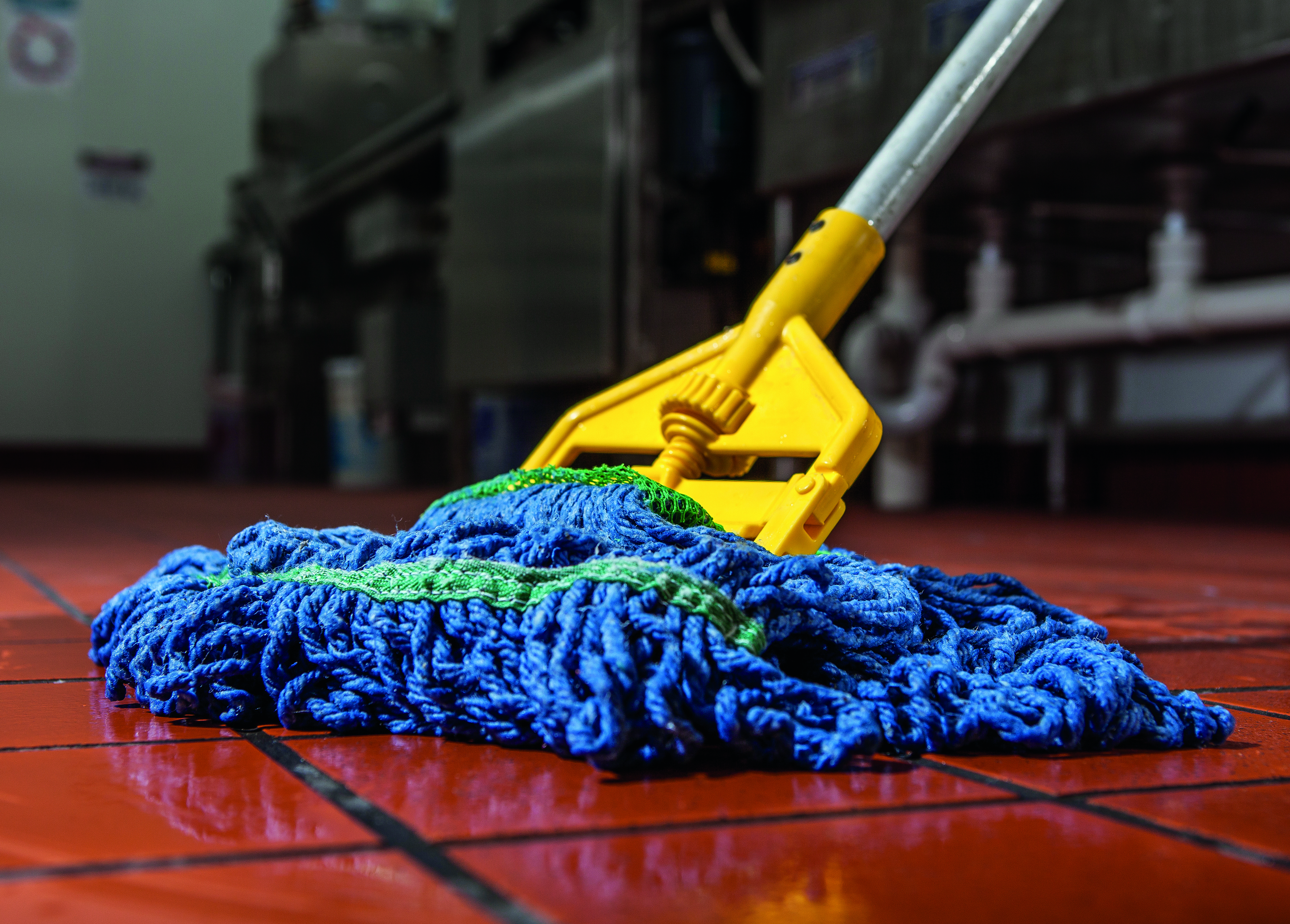 Cleaning an entryway floor