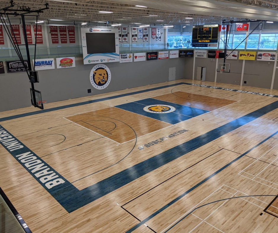 Dark brown, light brown sport floor with blue lines and yellow wildcat logo in the middle