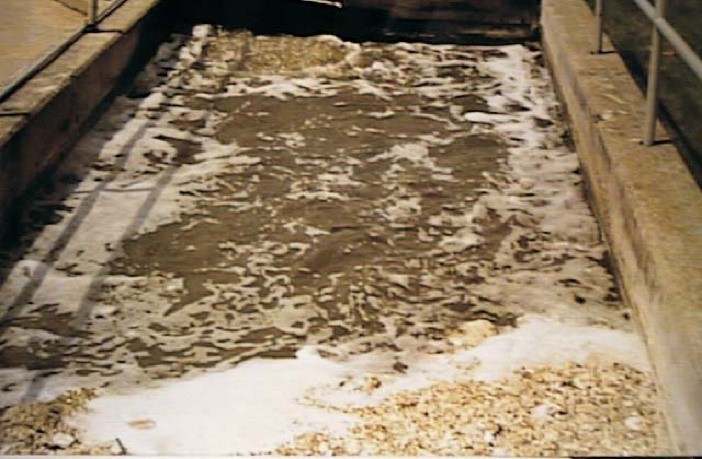 after eliminating
grease using envirozyme WWT