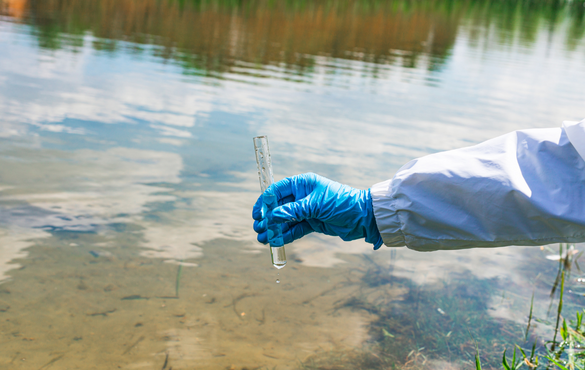 The Delicate Balance of Nutrients in Wastewater