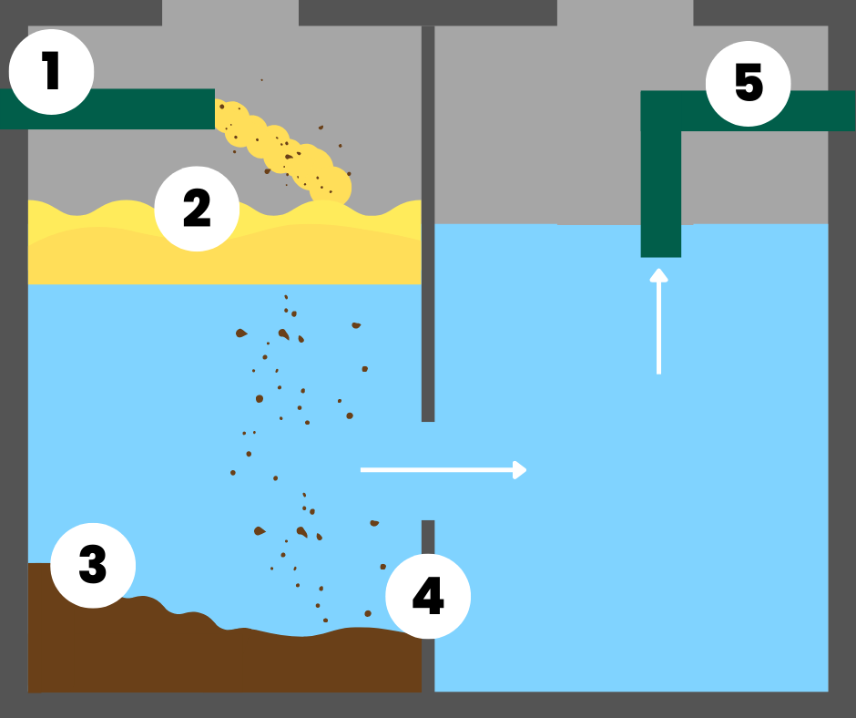 Diagram showing how grease traps work