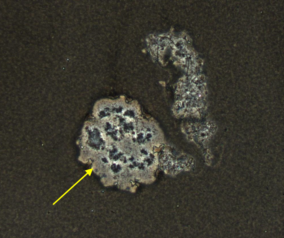 The Relation Between EPS and Viscous Bulking