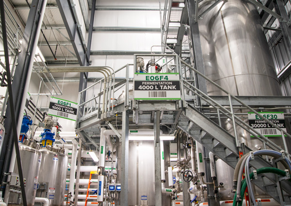 contract-fermentation_600x426